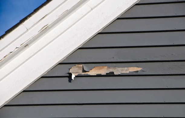 Best Residential Vinyl Siding Installation  in Pasadena, TX